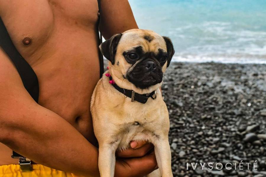 Leo Dale - Melbourne escort - Profile photo